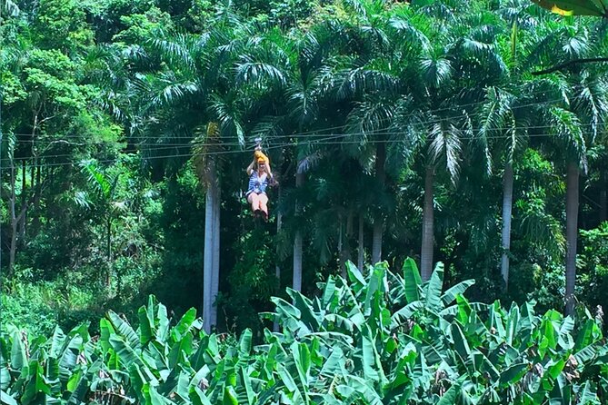 Ziplining at the Rainforest in Puerto Rico - The rainforest hike is short, but do not ignore it