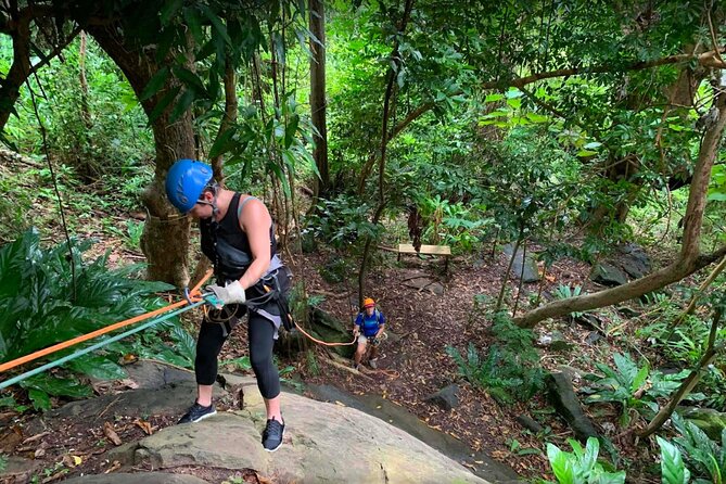 Ziplining at the Rainforest in Puerto Rico - Choosing the morning or afternoon session