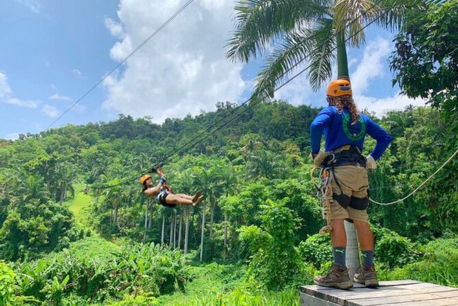 Ziplining at the Rainforest in Puerto Rico - What $149 includes, and what it does not