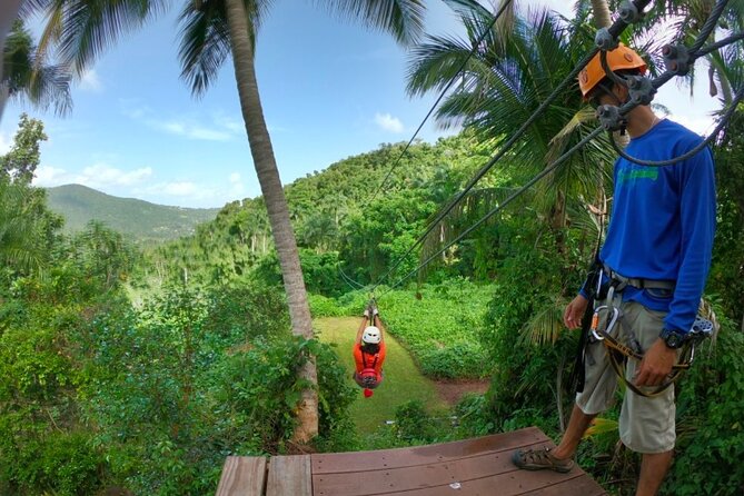 Ziplining at the Rainforest in Puerto Rico - Who should book this Luquillo outing